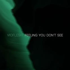 Vioflesh - Feeling You Don't See (2023)